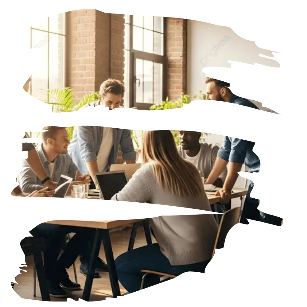 ORGANIZACION-consultoría