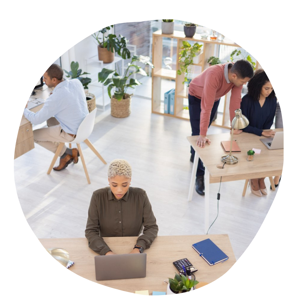 ingenieria-consultoría